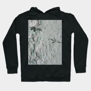 Bird Print Hoodie